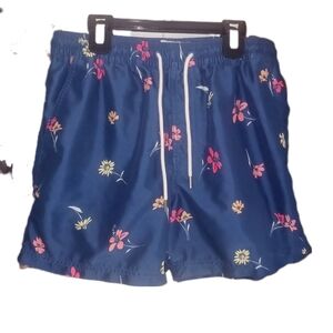 American Eagle Outfitters Blue and Pink Swim Trunks Floral Design